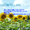 暑中1