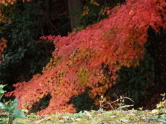天岑寺5