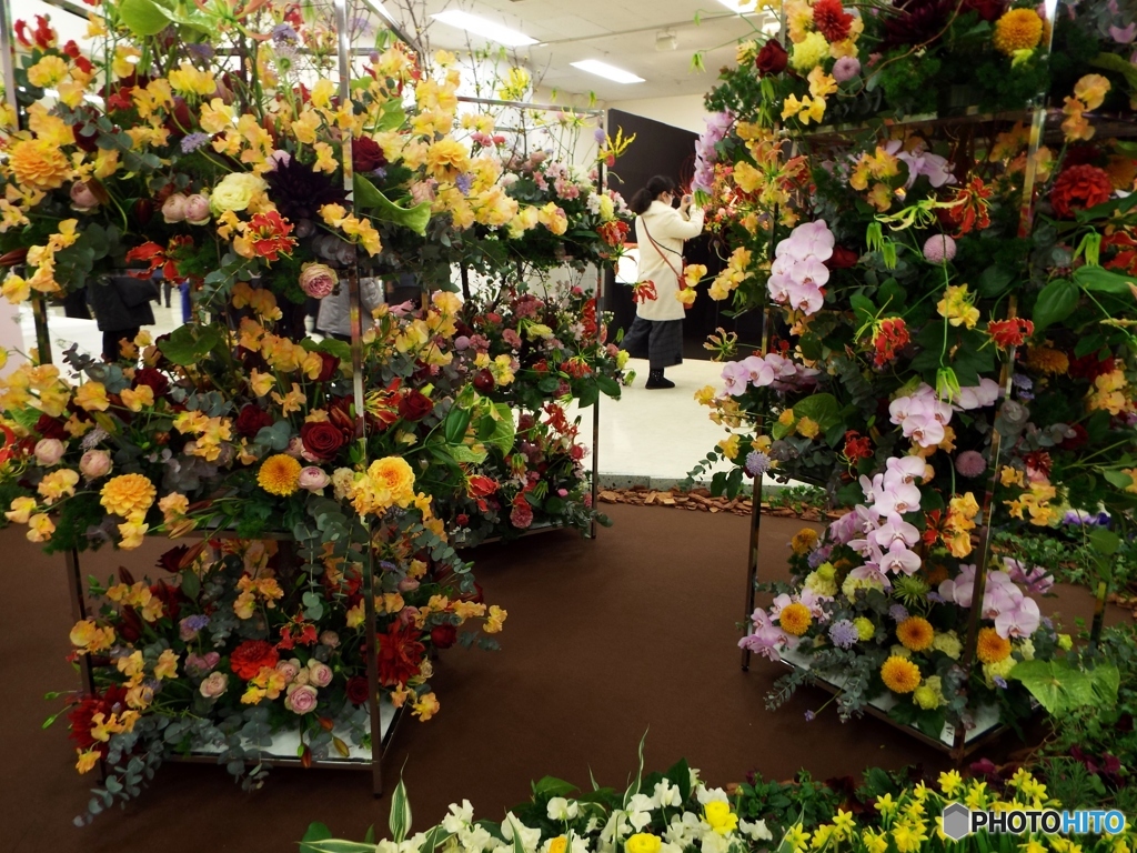 花の展覧会2