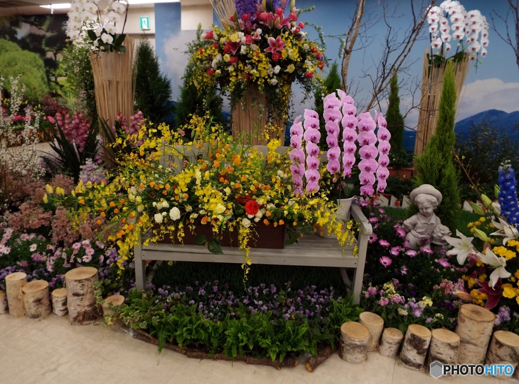 花の展覧会19