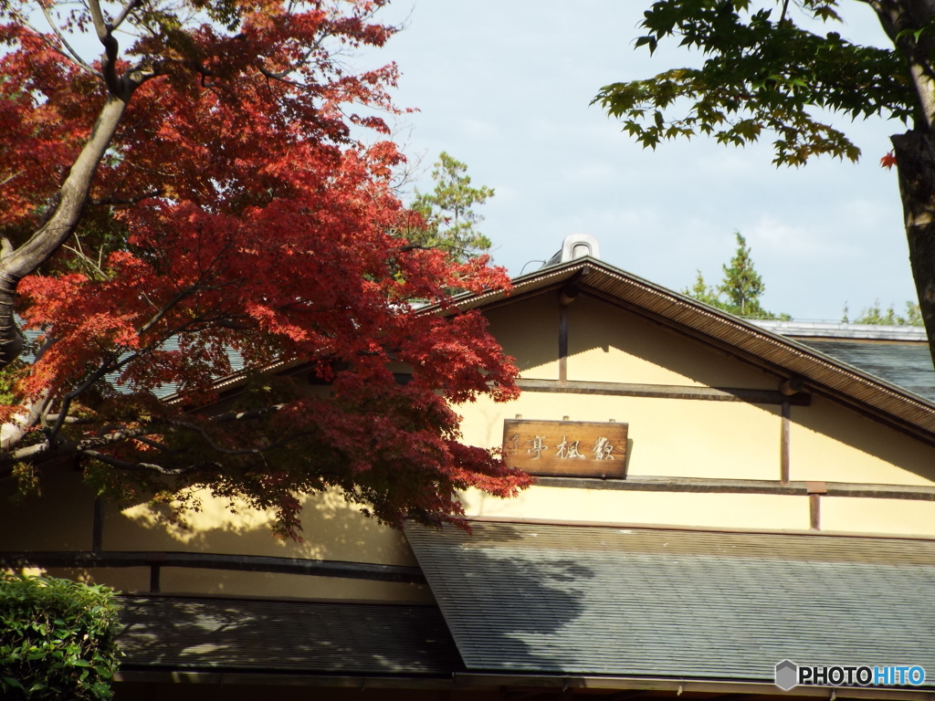 紅葉の日本庭園29