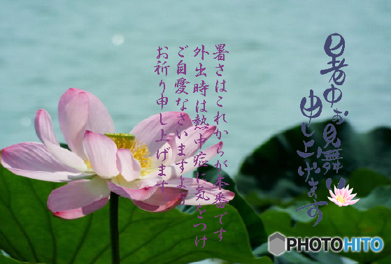 暑中5