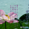 暑中5