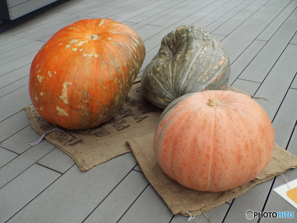 ハロウィン