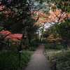 殿ヶ谷戸庭園12