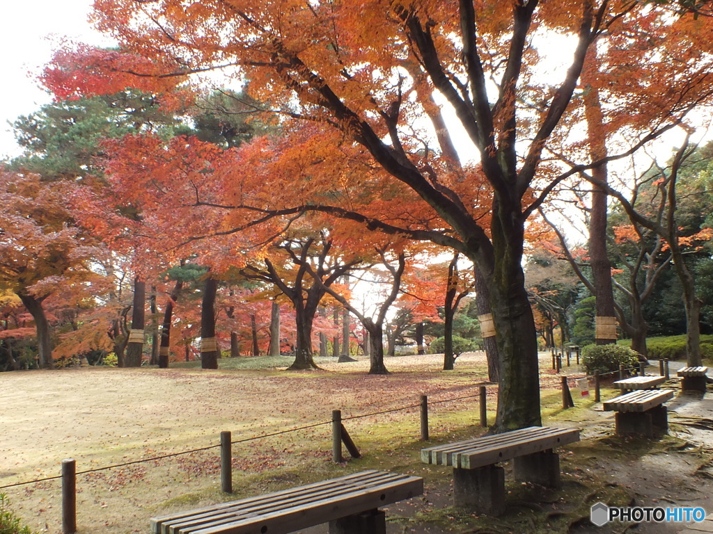 秋の殿ヶ谷戸庭園18