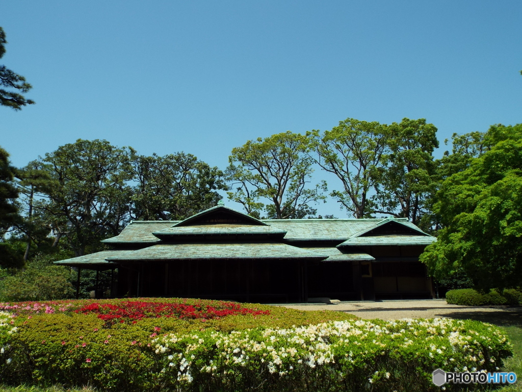 皇居東御苑8