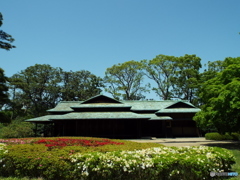 皇居東御苑8