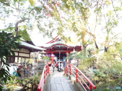 井の頭恩賜公園5