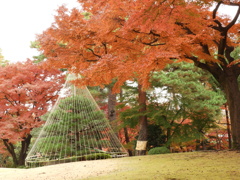 殿ヶ谷戸庭園18