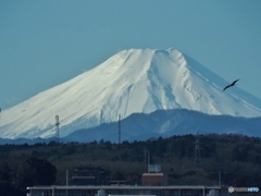 富士山2