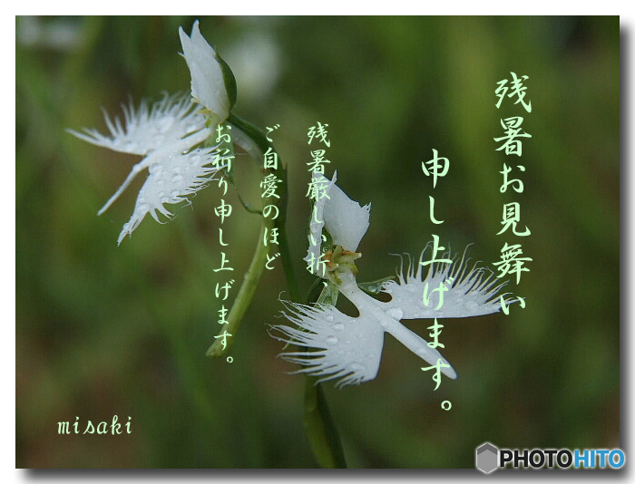 残暑16