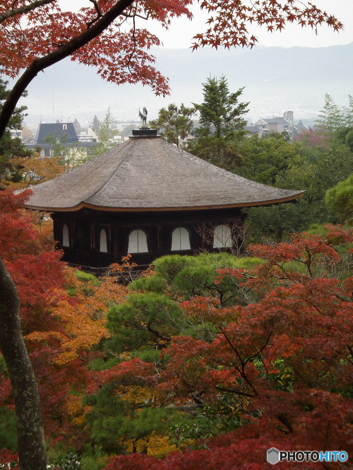 銀閣寺563