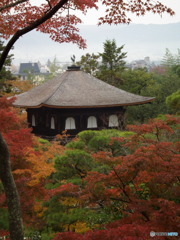 銀閣寺563