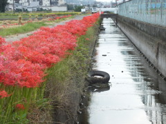 田園風景4