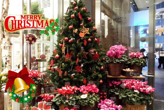 ☆メリーX'mas4