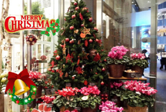 ☆メリーX'mas4