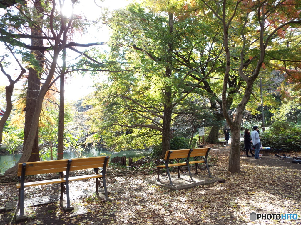 井の頭恩賜公園3