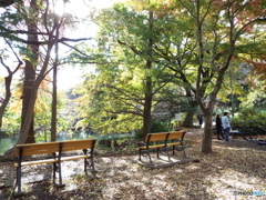 井の頭恩賜公園3