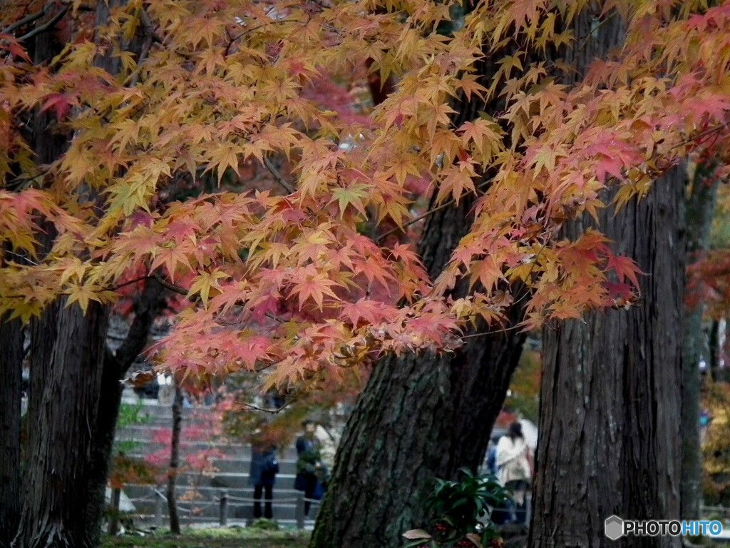 南禅寺752