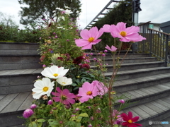 緑の空中庭園2