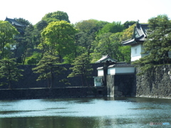 皇居東御苑12