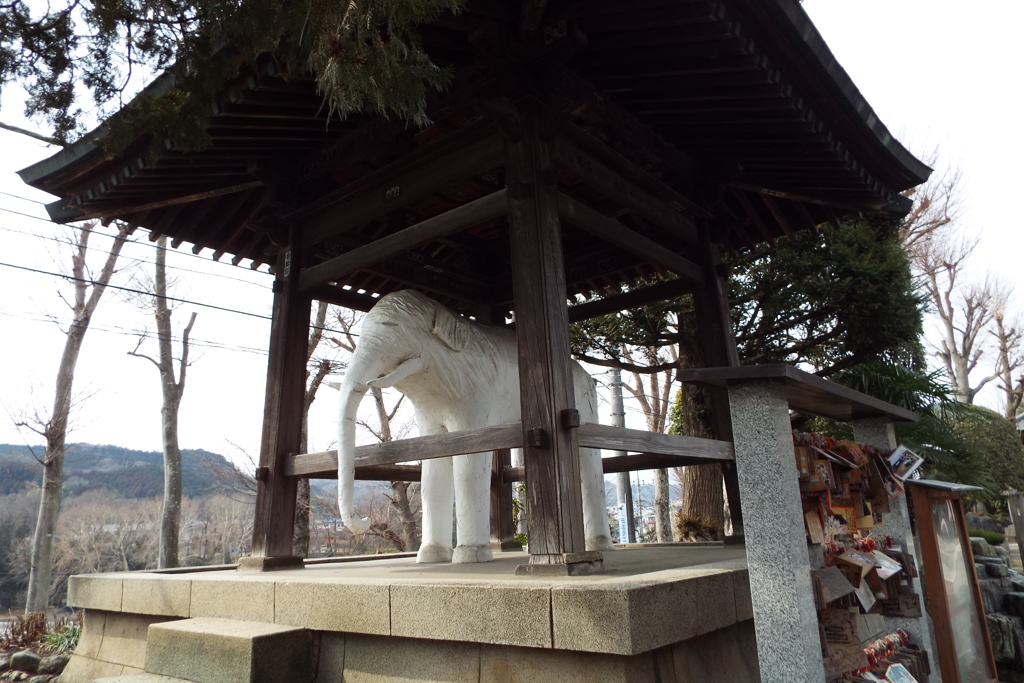 観音寺8