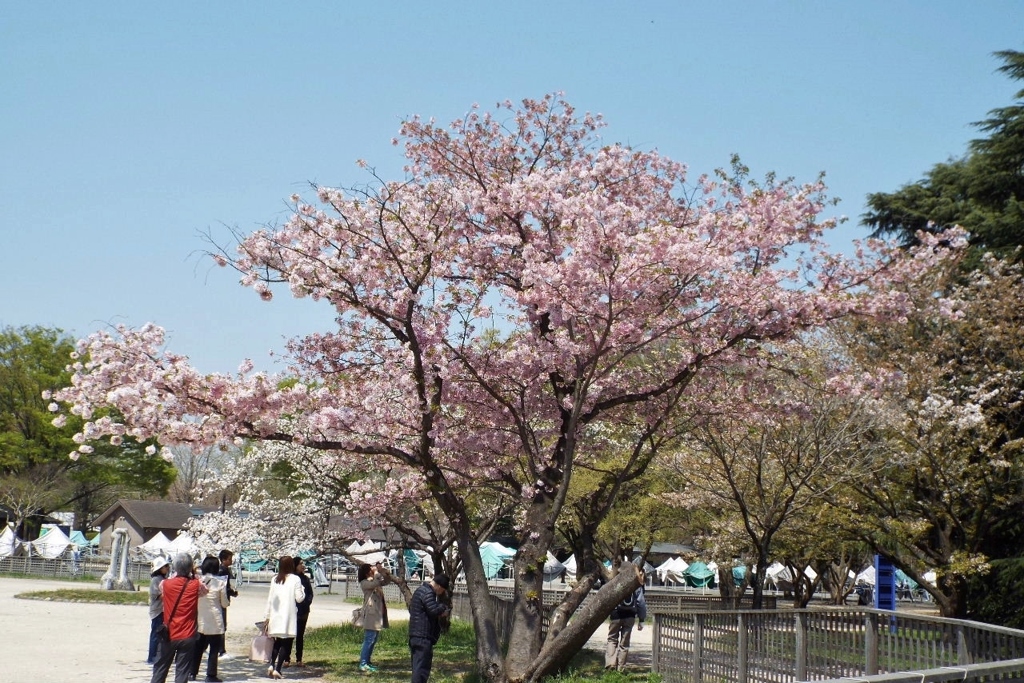 DSCF0043