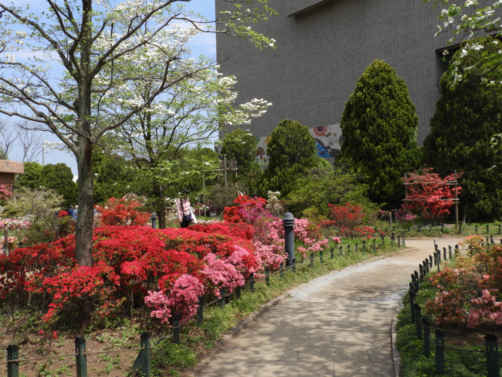 平成つつじ公園14