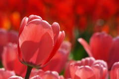 DSCF0320