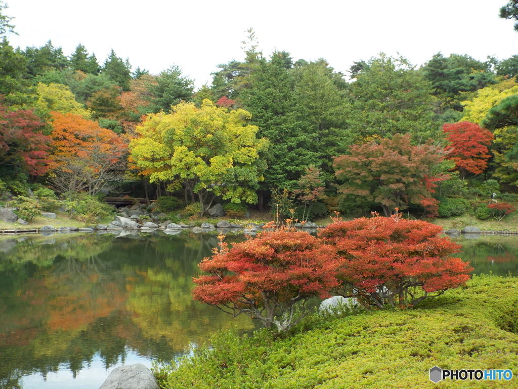 紅葉の日本庭園5