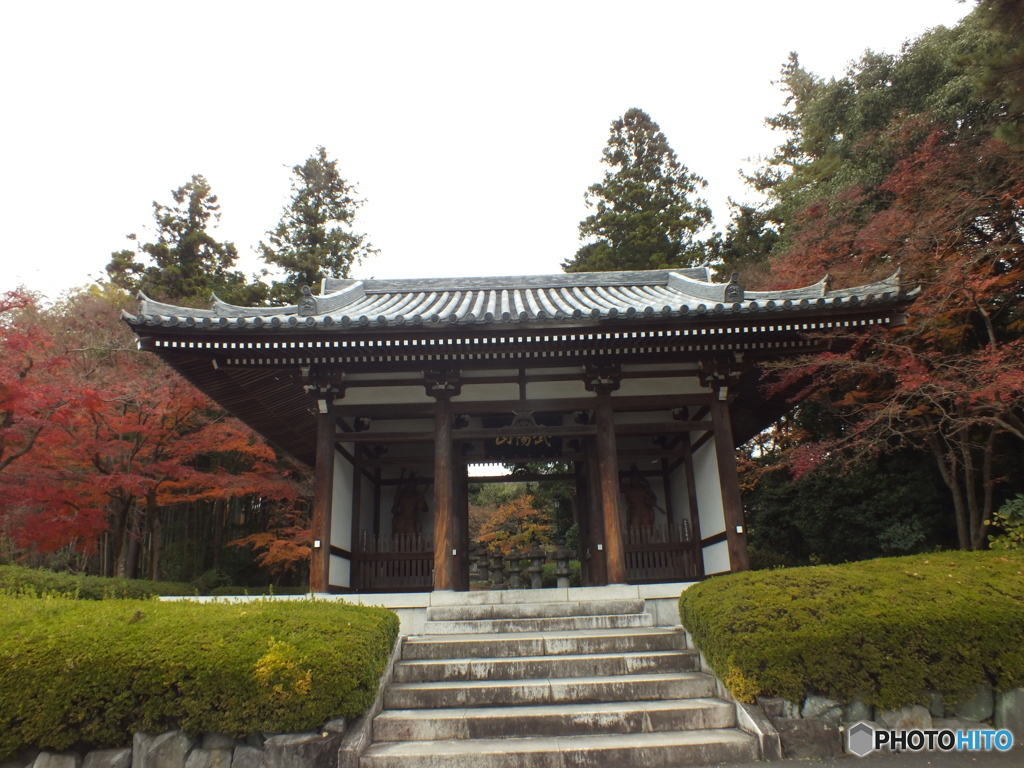 紅葉の能仁寺20