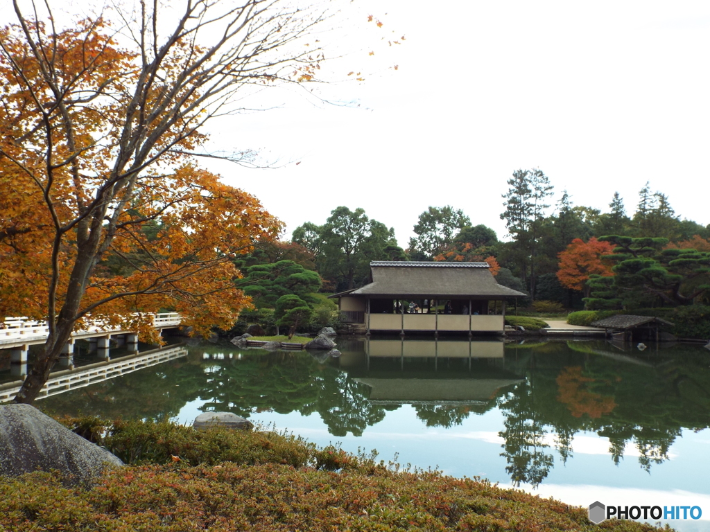 紅葉の日本庭園13