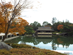 紅葉の日本庭園13