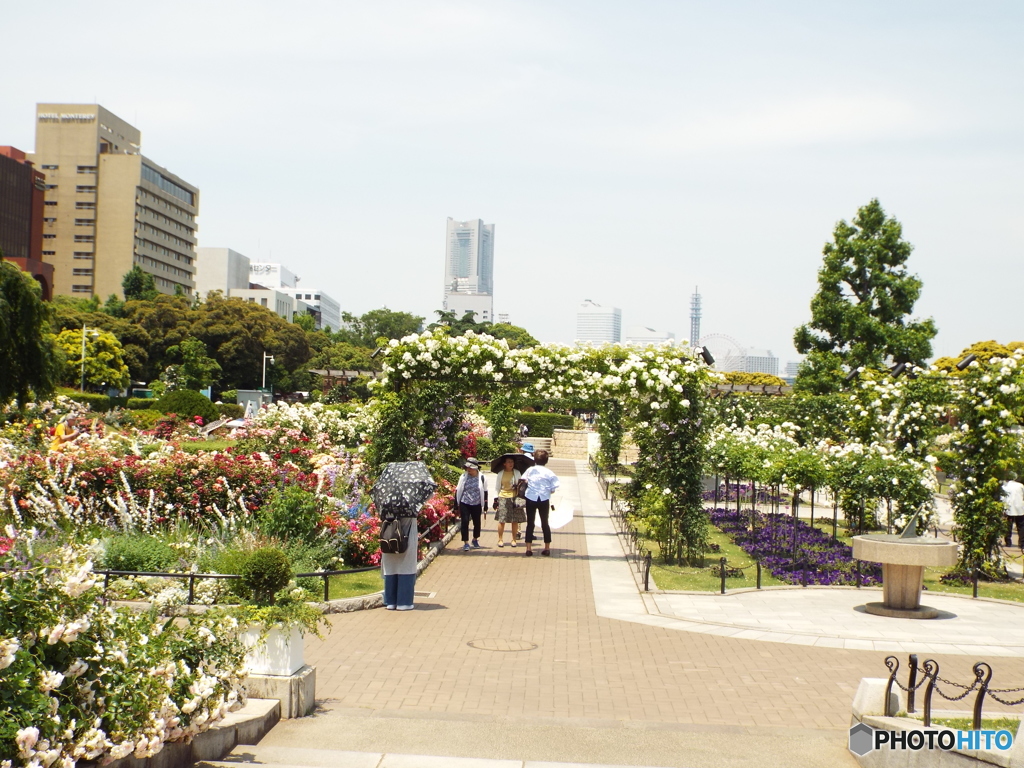 山下公園1