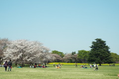 DSCF0520