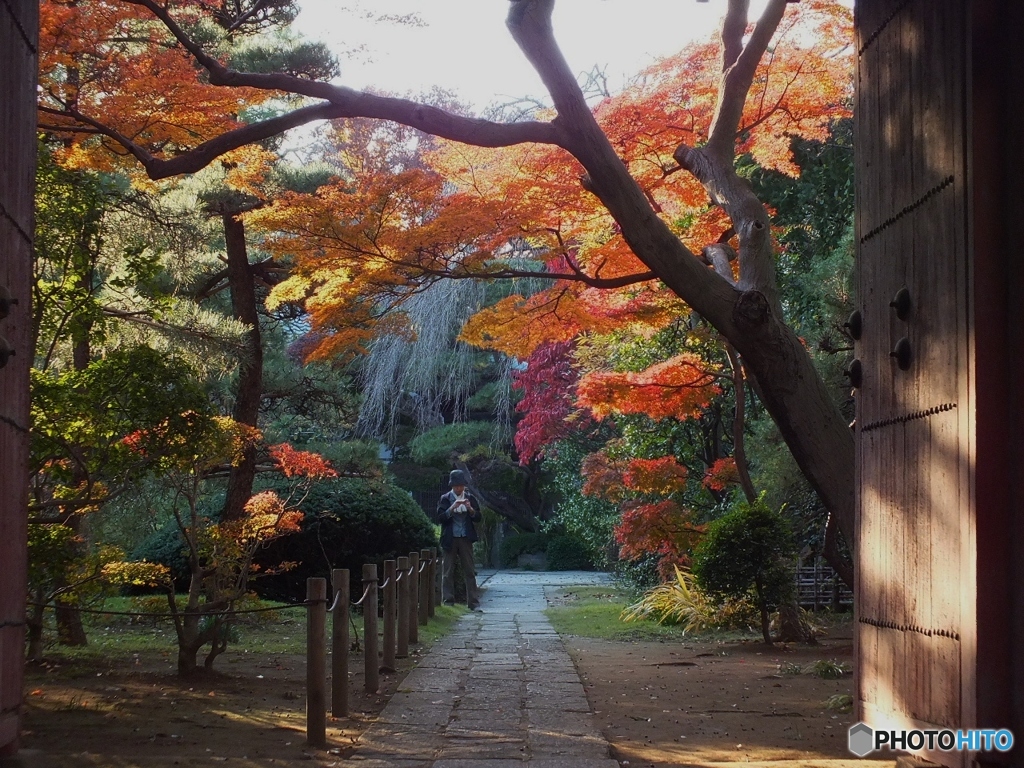 中院・紅葉4
