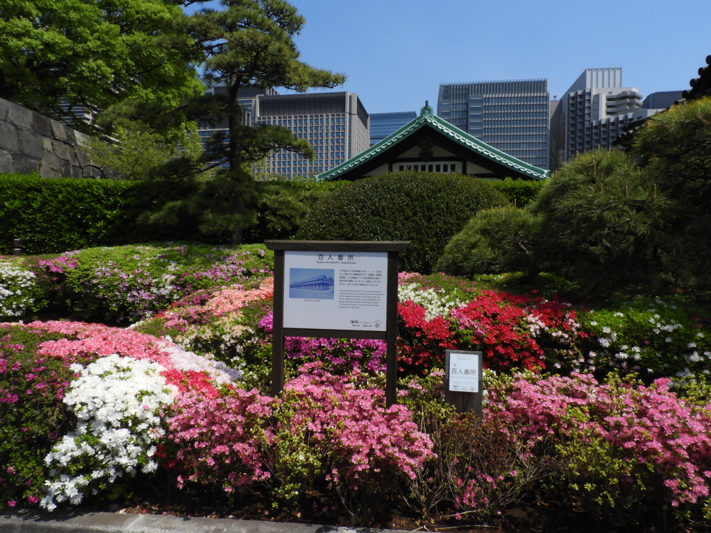 皇居東御苑2