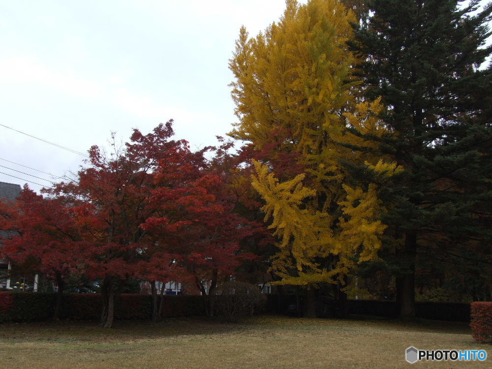 月の石もみじ公園17