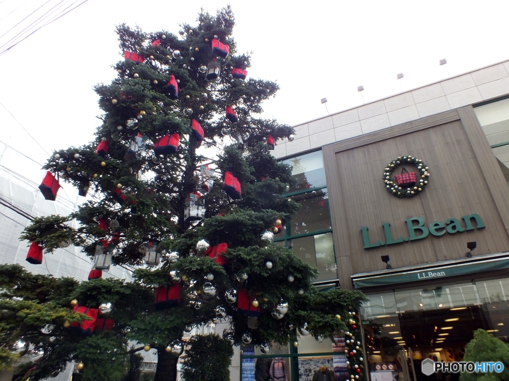 クリスマスツリー2