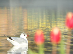 上野公園・噴水広場17