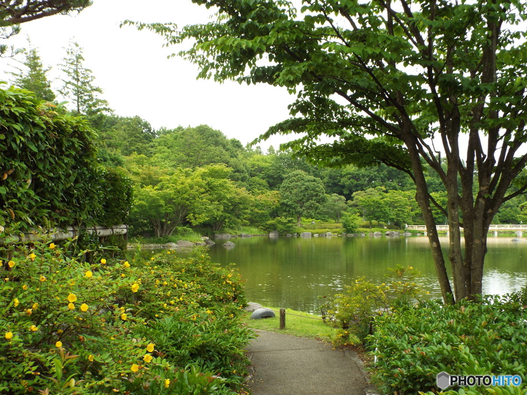 日本庭園5