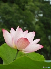 DSCF0032