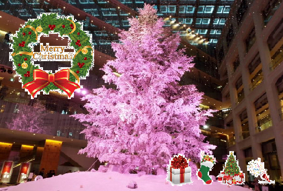 ☆メリーX'mas2