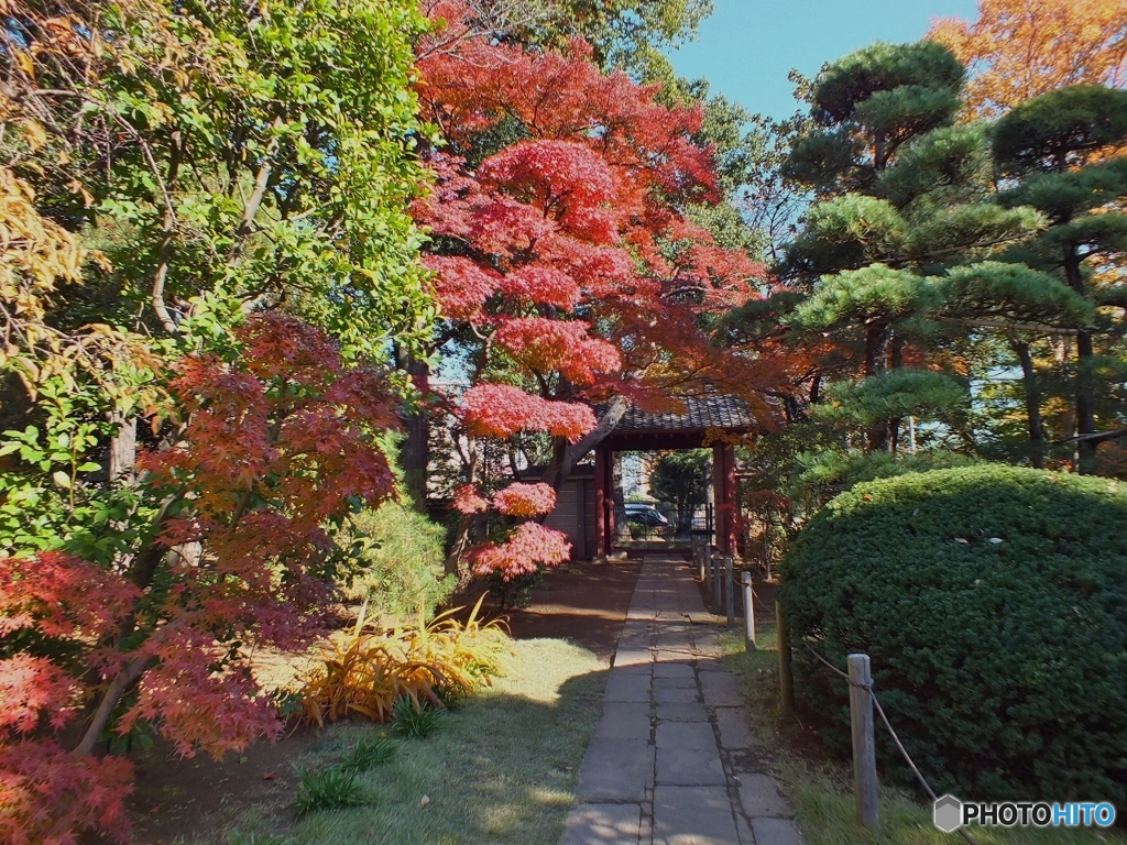 中院・紅葉1