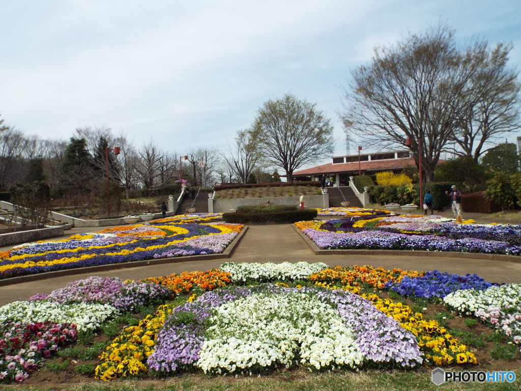 智光山公園3