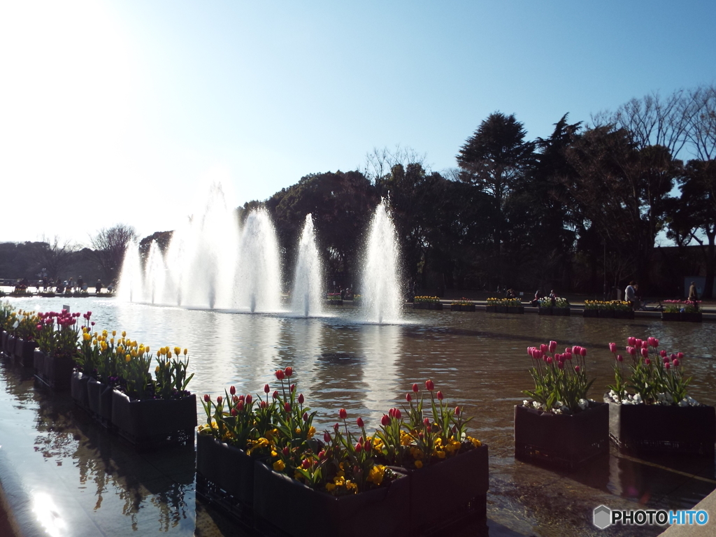 上野公園・噴水広場6