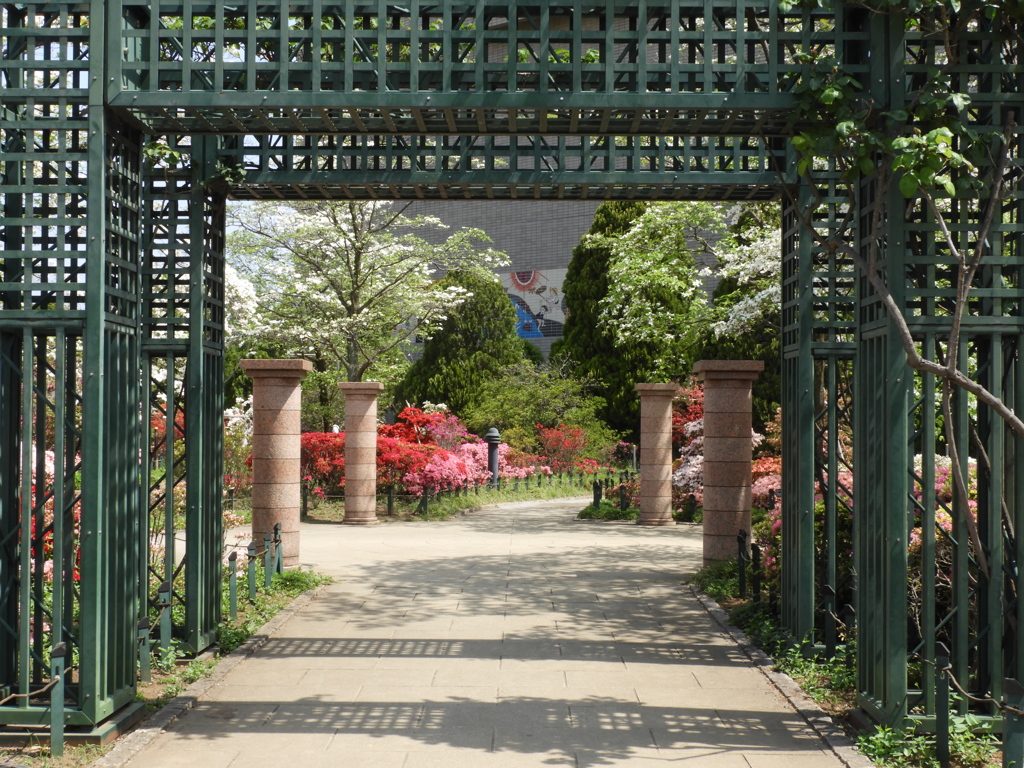 平成つつじ公園5