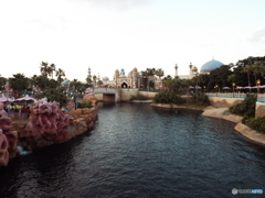 ディズニーシ39