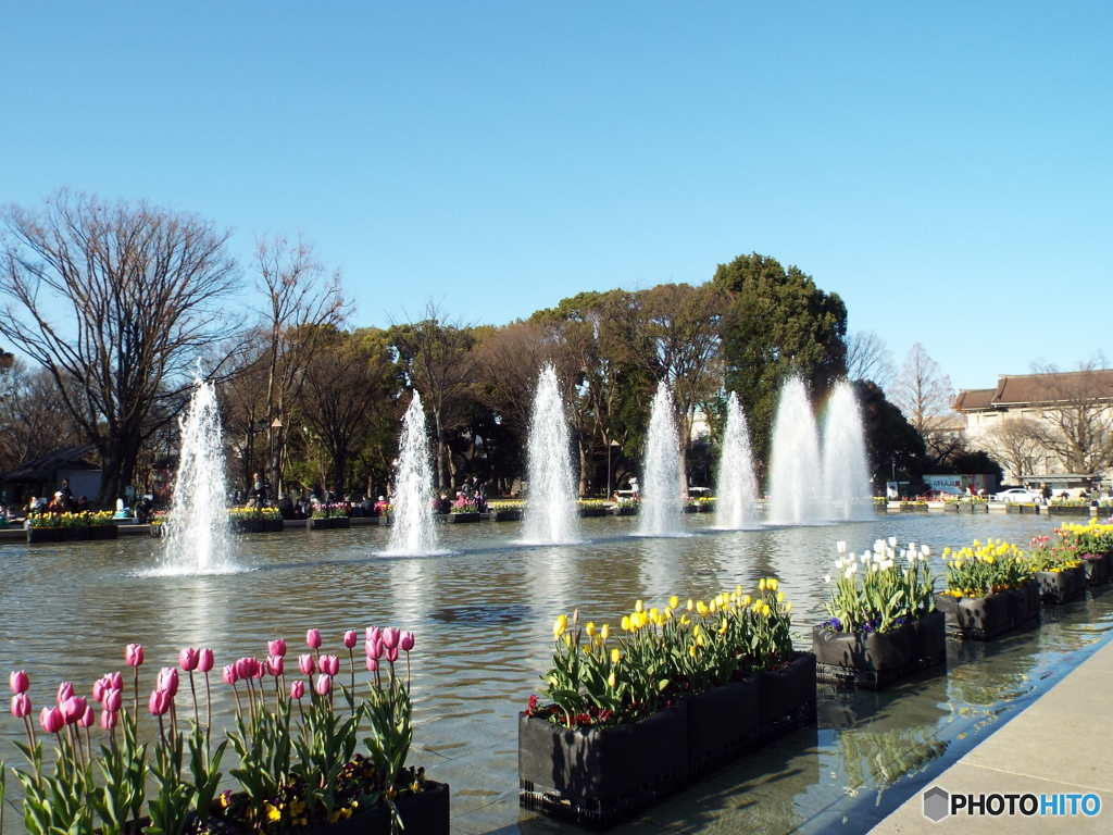 上野公園・噴水広場4